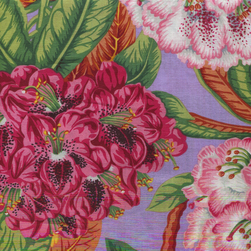 Kaffe Fassett Collective - 1/2 yard - #1056K