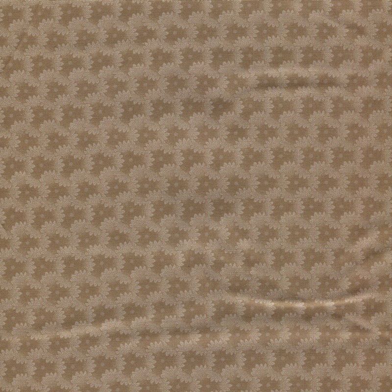 Franklin House - 1/2 yard - #1175D