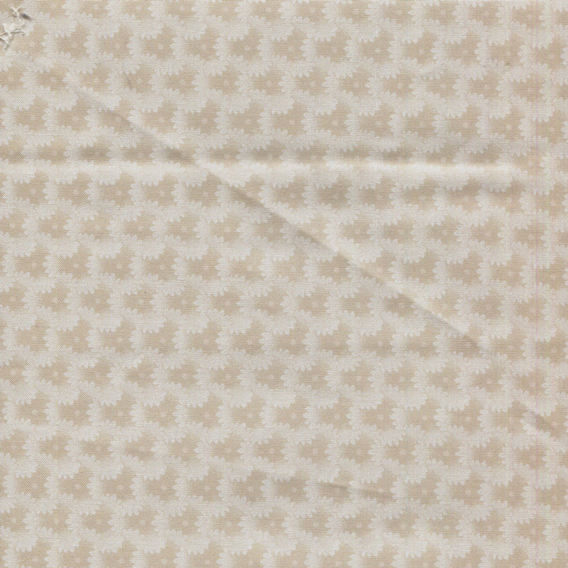 Franklin House - 1/2 yard - #1176D