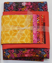 Load image into Gallery viewer, 2026 Snow Day Kit