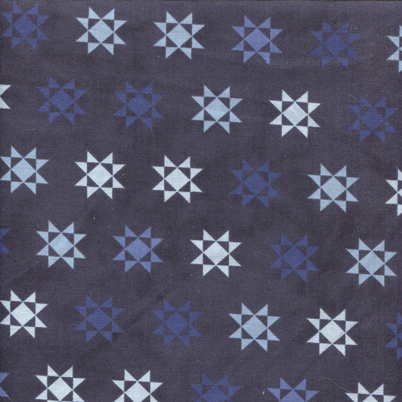 Starlight Gathering - 1/2 yard - #104L