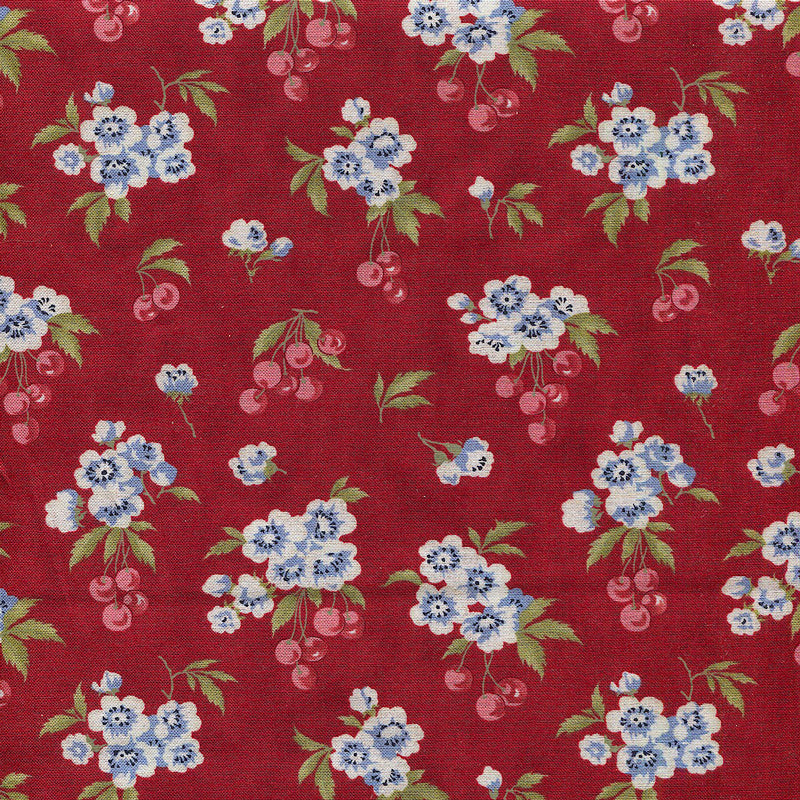 Isabella - 1/2 yard - #1571L