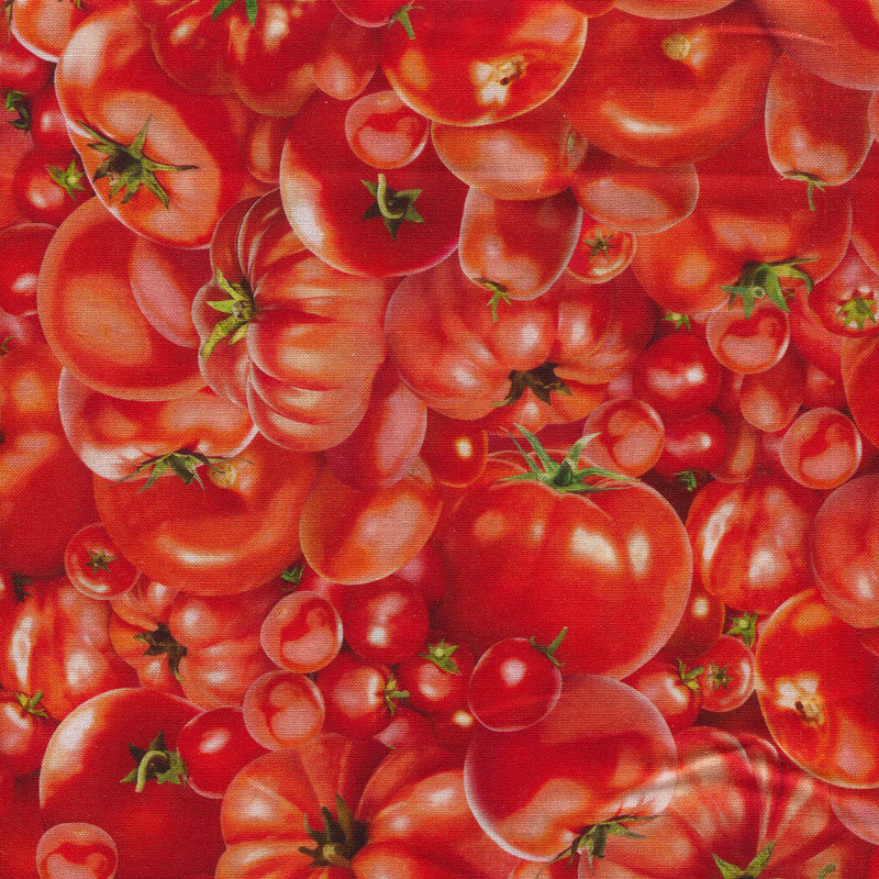 Food - 1/2 yard - #1900L