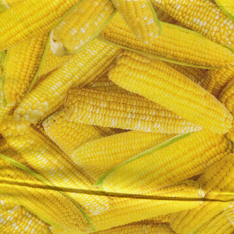 Food - 1/2 yard - #1898L