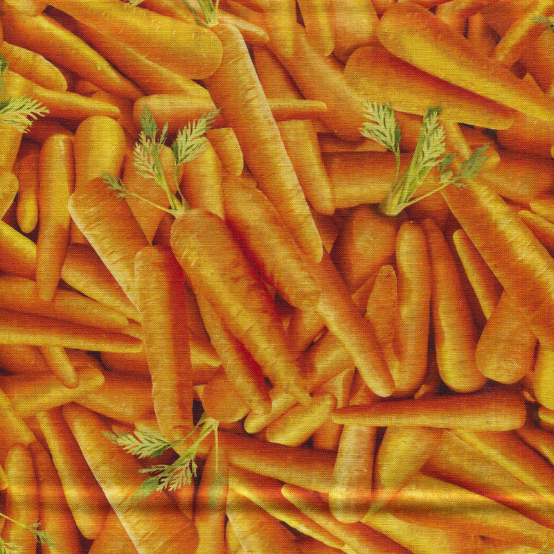 Food - 1/2 yard - #1899L