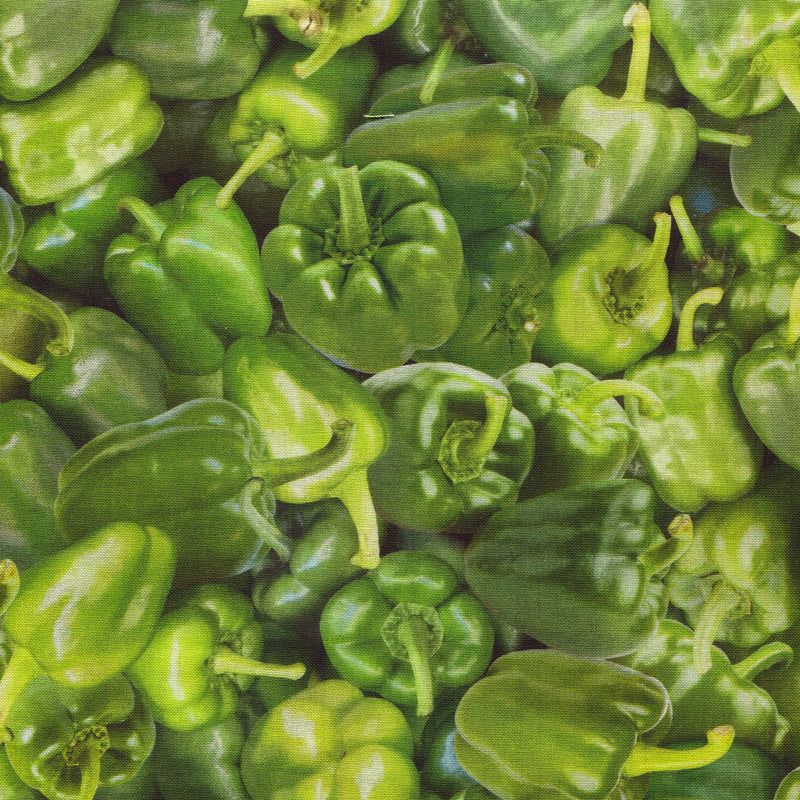 Food - 1/2 yard - #1897L